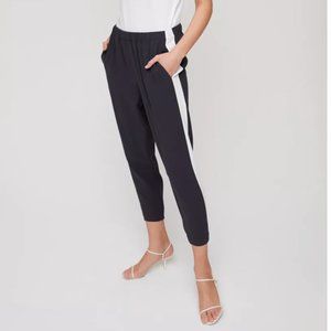 Aritzia- Babaton Dexter Pant